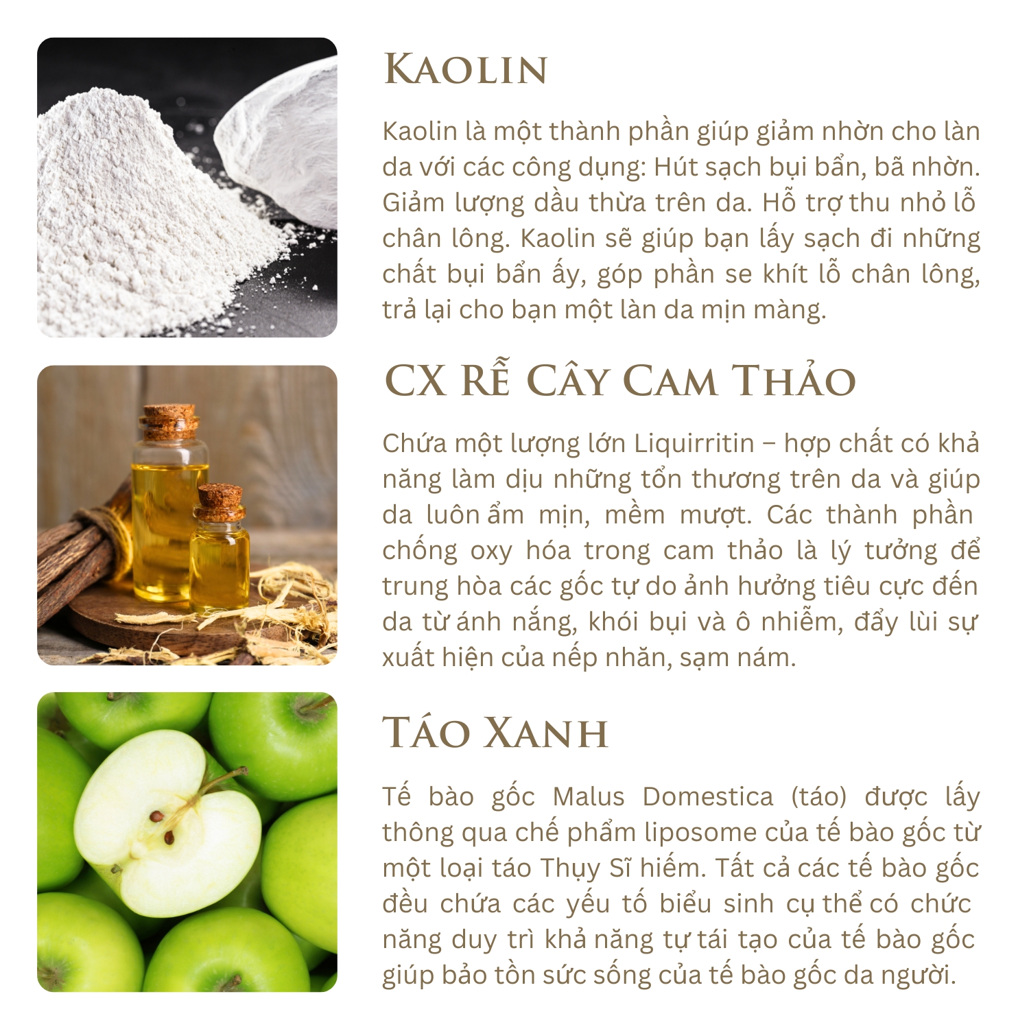 Mặt Nạ Đất Sét Táo Xanh Điều Chỉnh Sắc Tố - Có Chứng Nhận Hữu Cơ - Origani Erda Pigmentation Correction Green Apple Clay Mask 50ml - Xuất Xứ Từ Úc