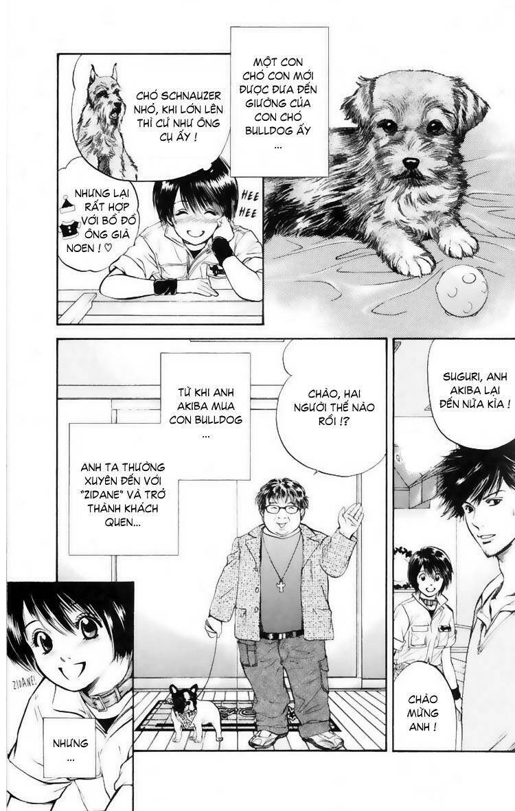 cô nàng yêu chó chapter 10 17