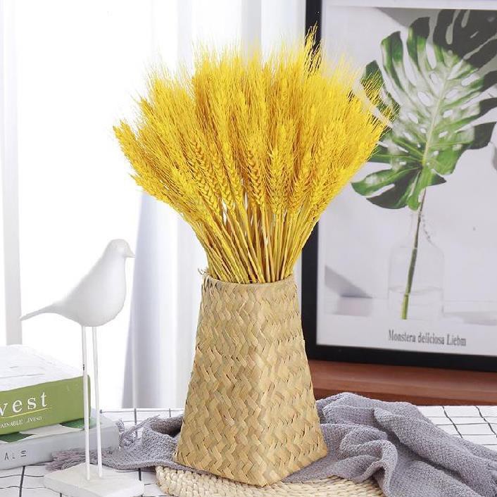 Cành lúa mạch khô màu VÀNG decor trang trí sử dụng chụp ảnh - Bông lúa mạch