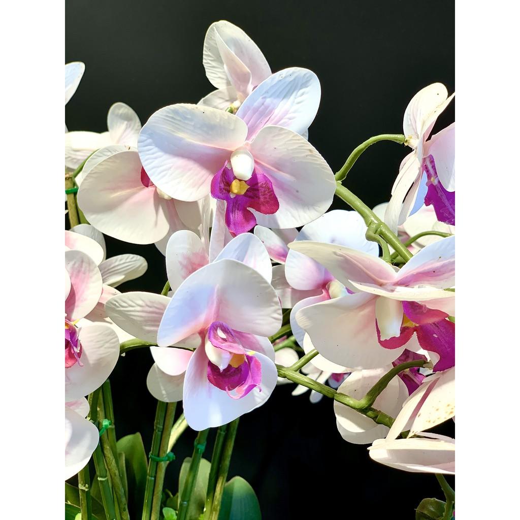 Bình hoa lan sinh động cực đẹp phong cách tân cổ điển sang trọng CHL2 - Thích hợp để trên các kệ tủ trưng bày