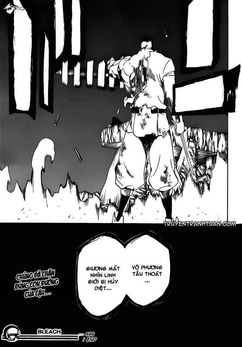 thần chết ichigo chapter 499 17