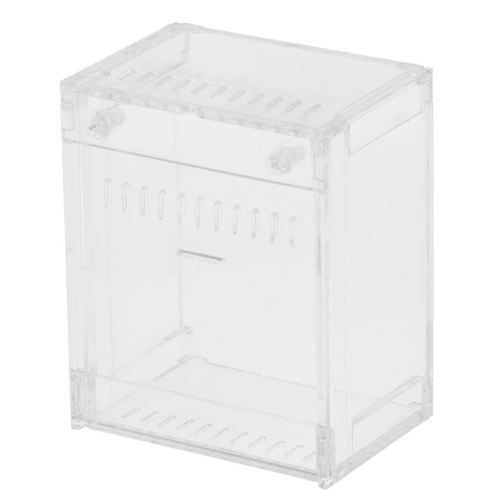 Acrylic Pet Reptiles Worm Breeding Box Clear Cases for Reptile