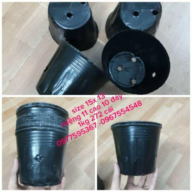 1kg bầu ươm 15x 13/ 270 cái
