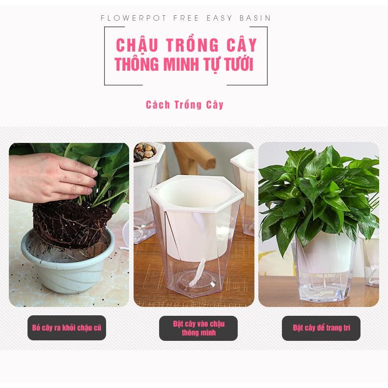 Chậu cây nhựa tự tưới nước cho cây cảnh nội thất, cây hoa cảnh, cây văn phòng, Chậu trồng cây thông minh tự tưới nước