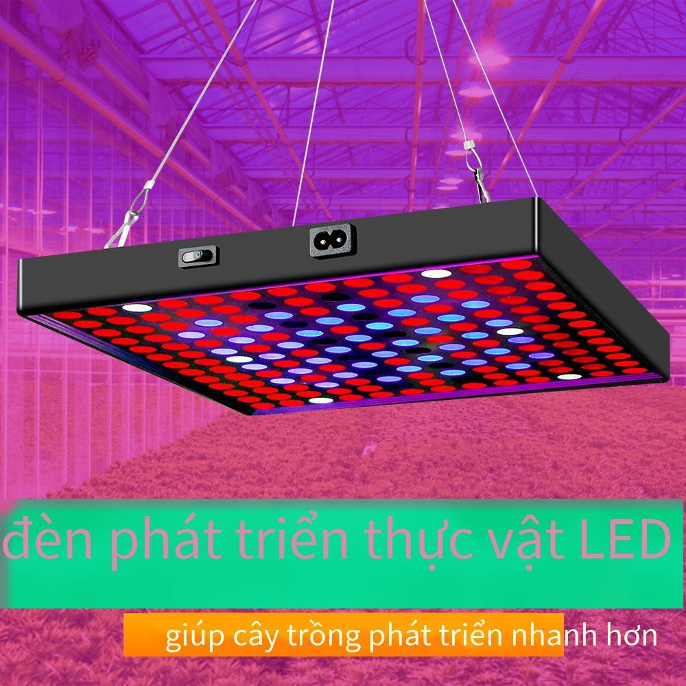 Đèn LED nhà máy thuận lợi nhất bảng lượng tử cây giống nhà kính cây mọng nước tăng trưởng lấp đầy ánh sáng toàn phổ thực vật đèn thực vật