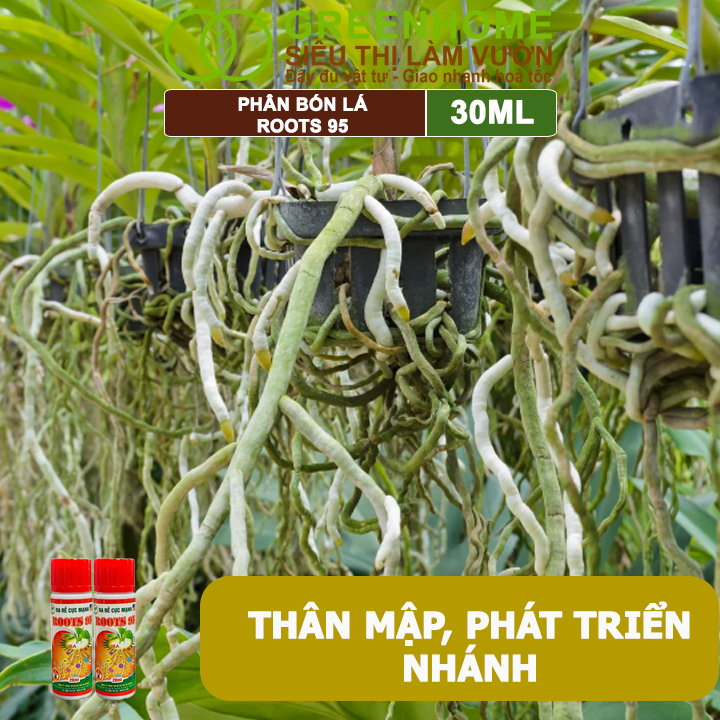 Phân Kích Rễ Cực Mạnh ROOTS 95, GreenHome, Chai 30ml, Kích Ra Rễ Cực Mạnh Chuyên, Cho Hoa Lan