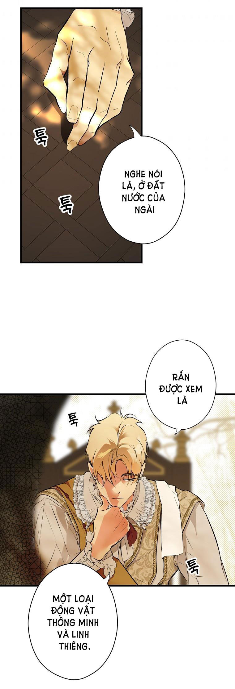 quý cô bí ẩn - secret lady chapter 55 27