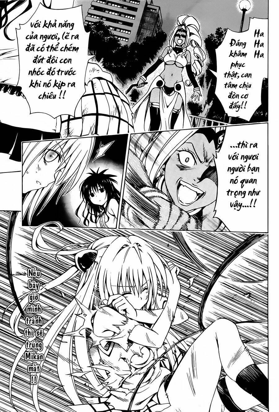 bọn tớ thích cậu! rito 2 - venus chapter 6 19