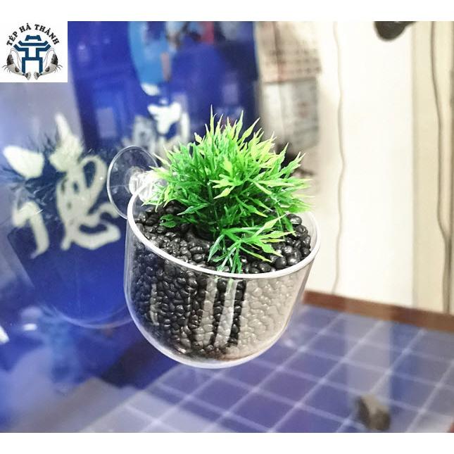 Cốc Trồng Cây Thủy Sinh - Trang Trí Bể Cá Cảnh, Bể Thủy Sinh