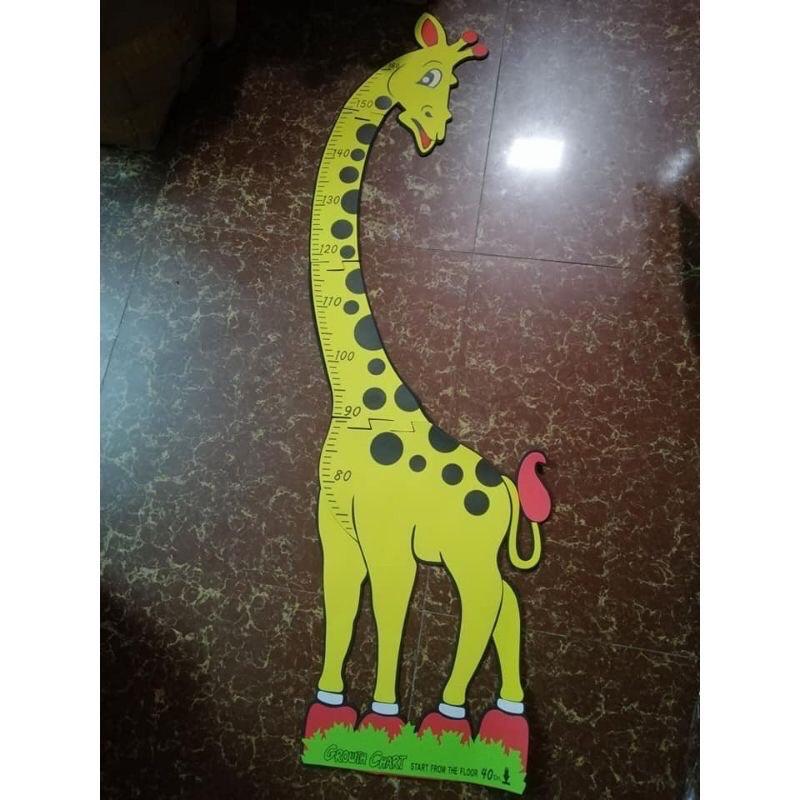 Hươu xốp đo chiều cao