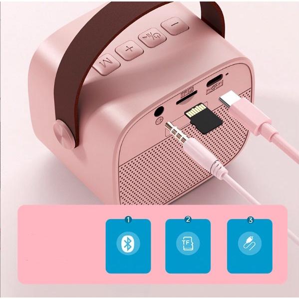 Bộ Micro loa bluetooth 2in1 hỗ trợ giảng dạy Karaoke Mini Ngoài Trời KTV Cardioid