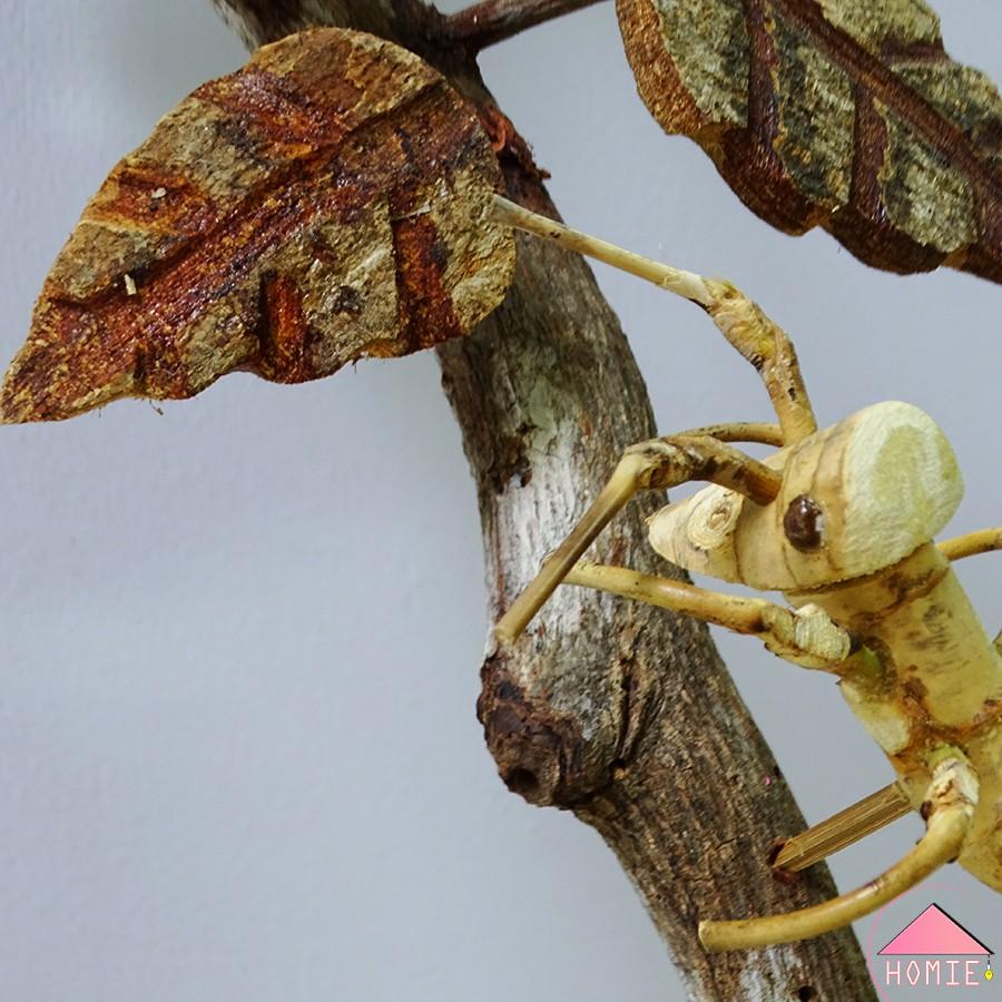 Khúc cây gỗ trang trí tường phong cách Vintage