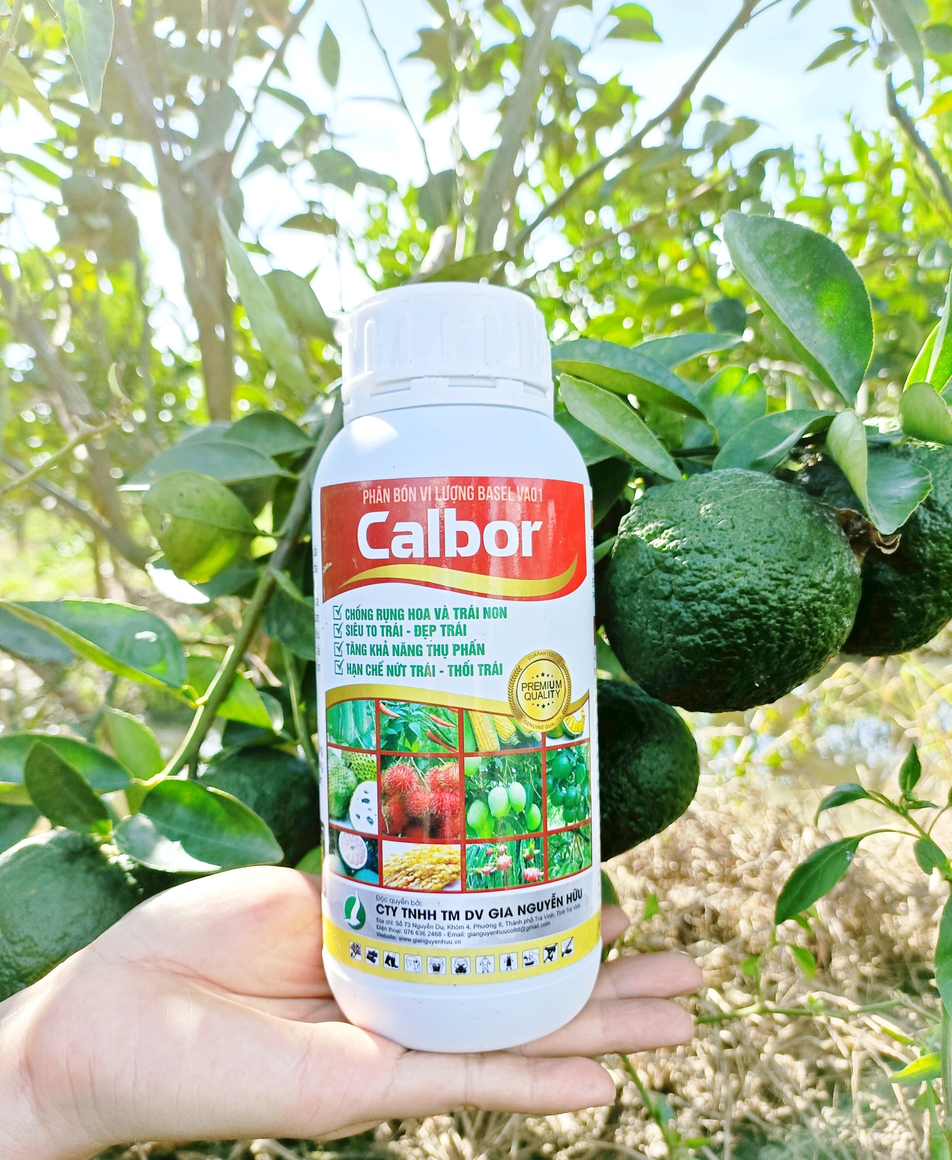 PHÂN BÓN CANXI BO GIÚP DAI CUỐNG, CHỐNG RỤNG HOA, TRÁI NON, TĂNG KHẢ NĂNG ĐẬU TRÁI - CHAI 500ML