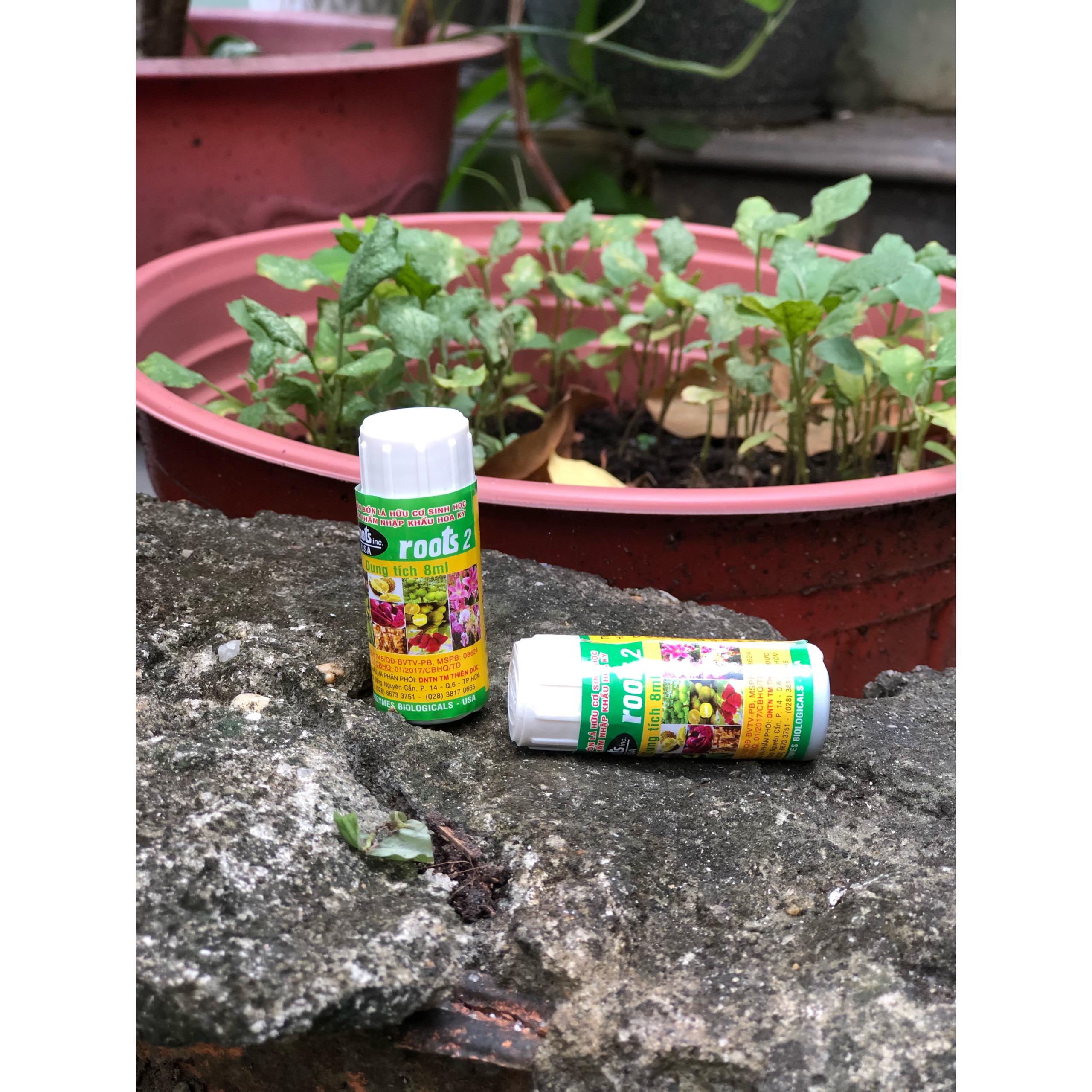 Phân bón lá cao cấp kích rễ Roots 2 nguyên liệu nhập USA - chai - 100ml