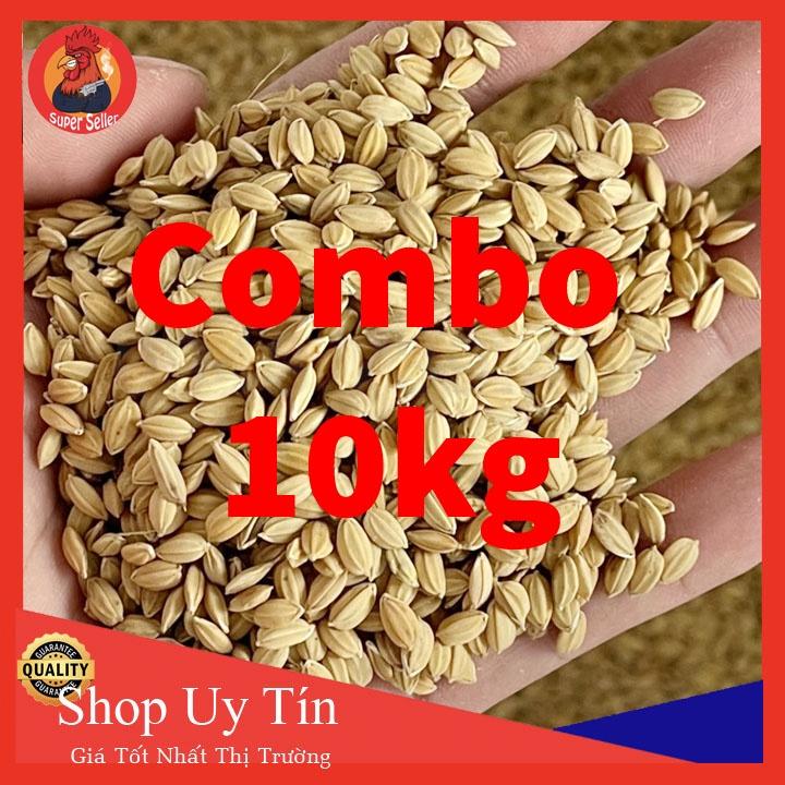 Combo 10kg Lúa Nhật Cho Gà Ăn