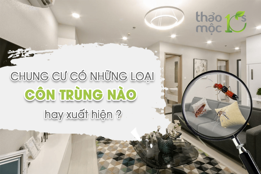 Bình xịt diệt côn trùng Muỗi Kiến Gián Mối Mọt Sinh Học 100% THẢO MỘC 10S - An toàn hiệu quả (Hương Bạc Hà mới )