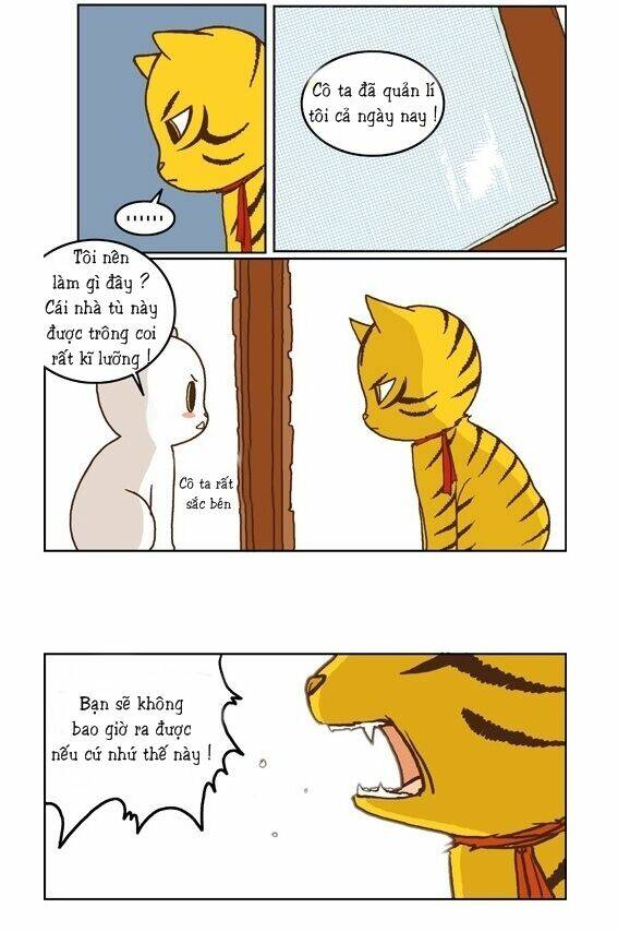 papi nyang chapter 15 15