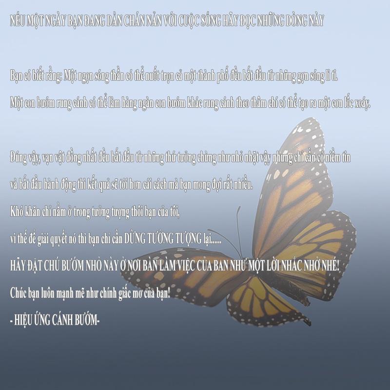Trang trí Mô Hình BUTTERFLY ghép 3D trang trí Bàn làm việc, phòng đọc sách, phòng khách