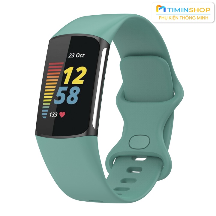 Dây đeo cho Fitbit Charge 6/ Charge 5 (DFB5)