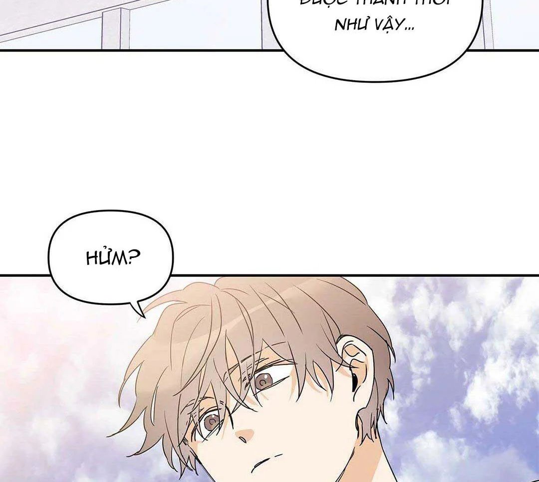 guide cấp b chapter 8 24