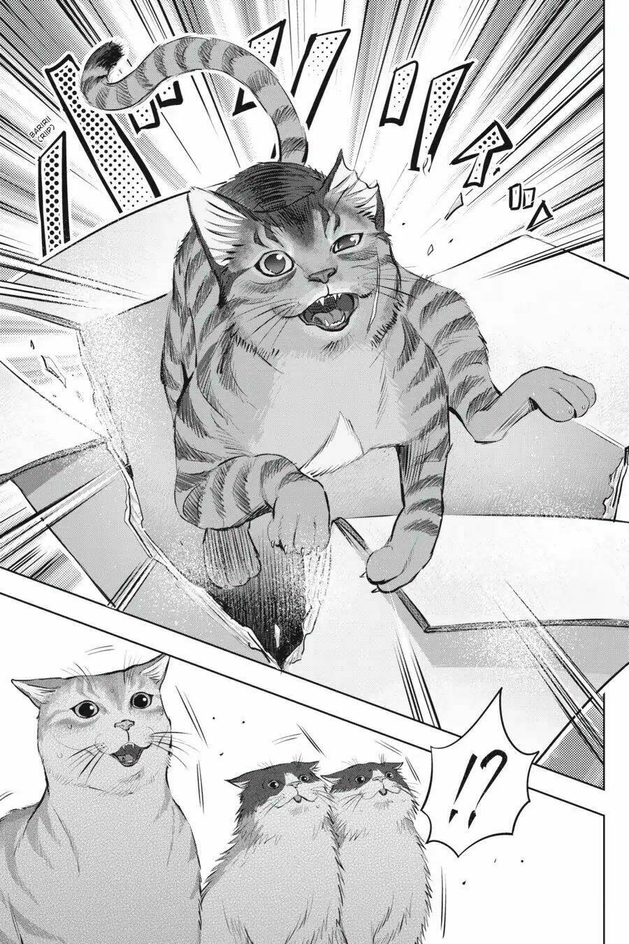 nyankees chapter 3 24