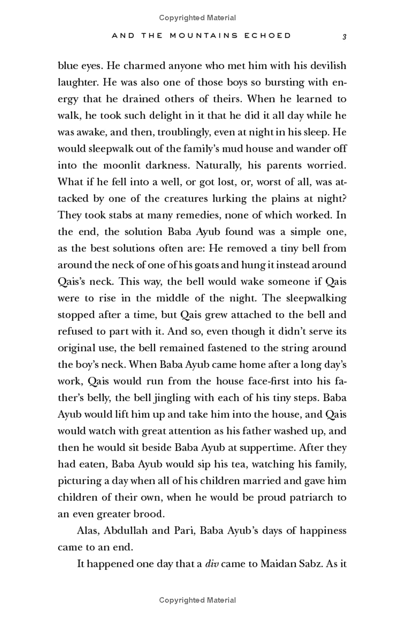 And The Mountains Echoed