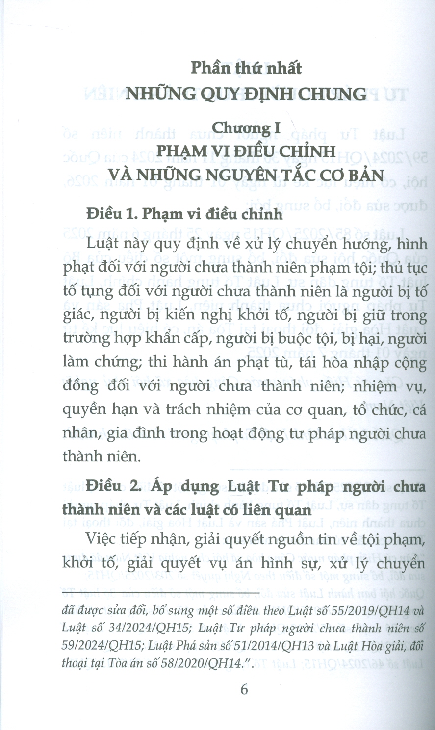 Luật Tư Pháp Người Chưa Thành Niên (Sửa Đổi, Bổ Sung Năm 2025)