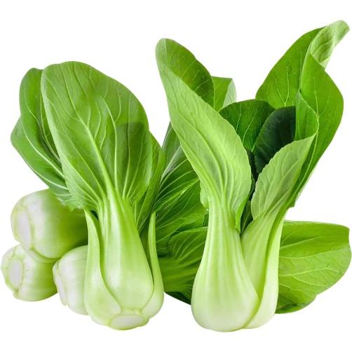 Hạt giống rau cải chíp cao sản KNS3385 - gói 10gram