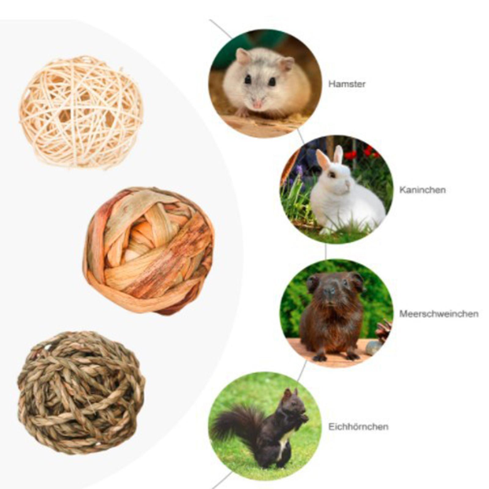 9Pcs Natural Material Rabbit Chew Toys Bunny Treat Ball Teething Chewable Interactive Toys Parrot Toys for Guinea Pigs Hamster Kitten Indoor