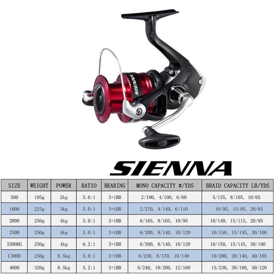 Máy câu cá Shimano SIENNA 4000 tải 8.5kg, máy đứng câu lure suối lóc ở ao hồ sông suối