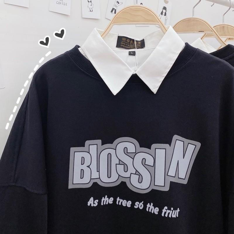 Áo Sweater Nỉ BLOSSIN Unisex