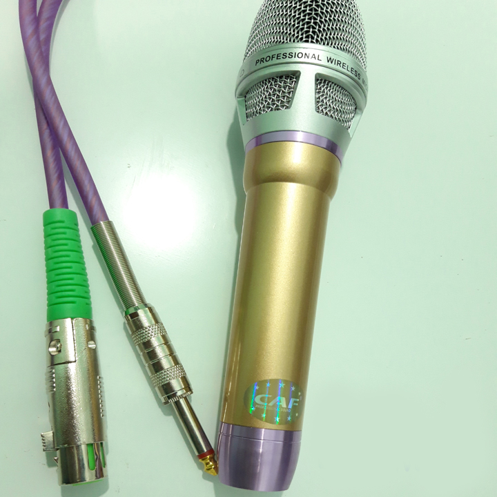 Micro karaoke có dây cao cấp CAFP10