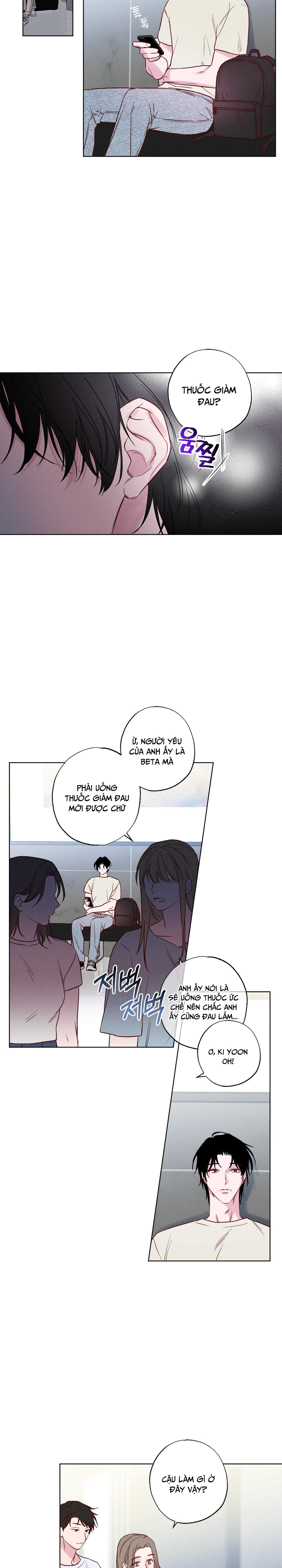 làn sóng bên bờ biển chapter 1 15