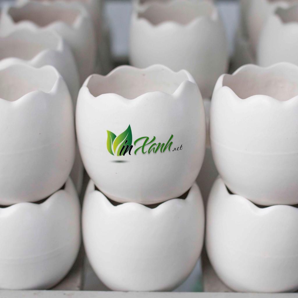Chậu sứ trồng cây cảnh mini để bàn 9-13cm hình quả trứng/ chậu trứng