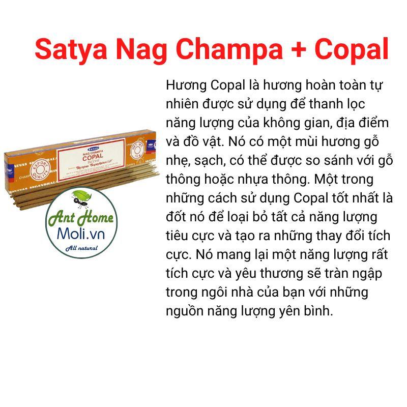 Nhang hương thanh tẩy Satya Nag Champa + Copal