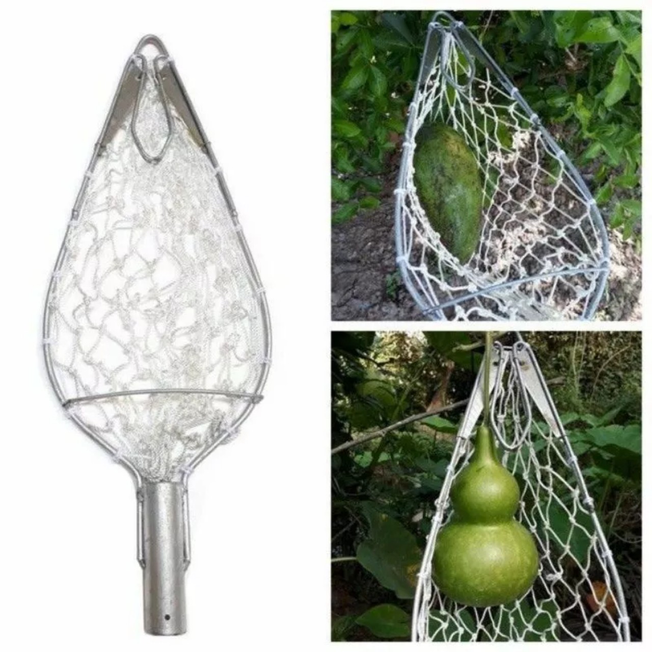 Dụng cụ hái trái cây có lưỡi cắt cuốn trái giúp hái bơ , xoài , bưởi , hồng , mướp dễ dàng không bị dập loại tốt
