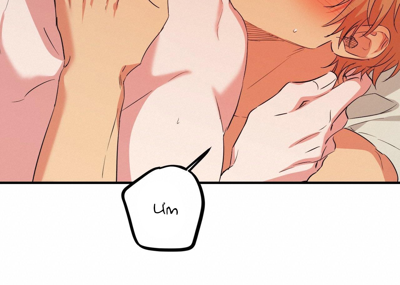 đàn thỏ của habibi chapter 54 220