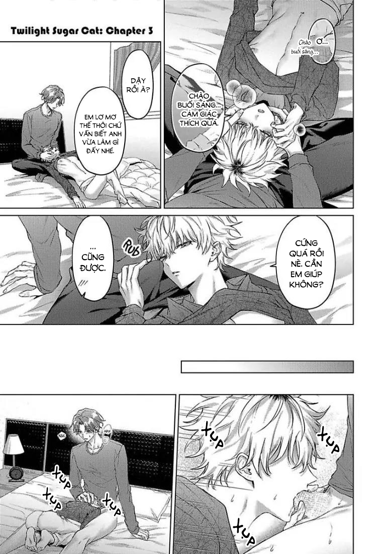 chú mèo ngọt ngào đến nhà tôi mỗi lúc chạng vạng chapter 4 7