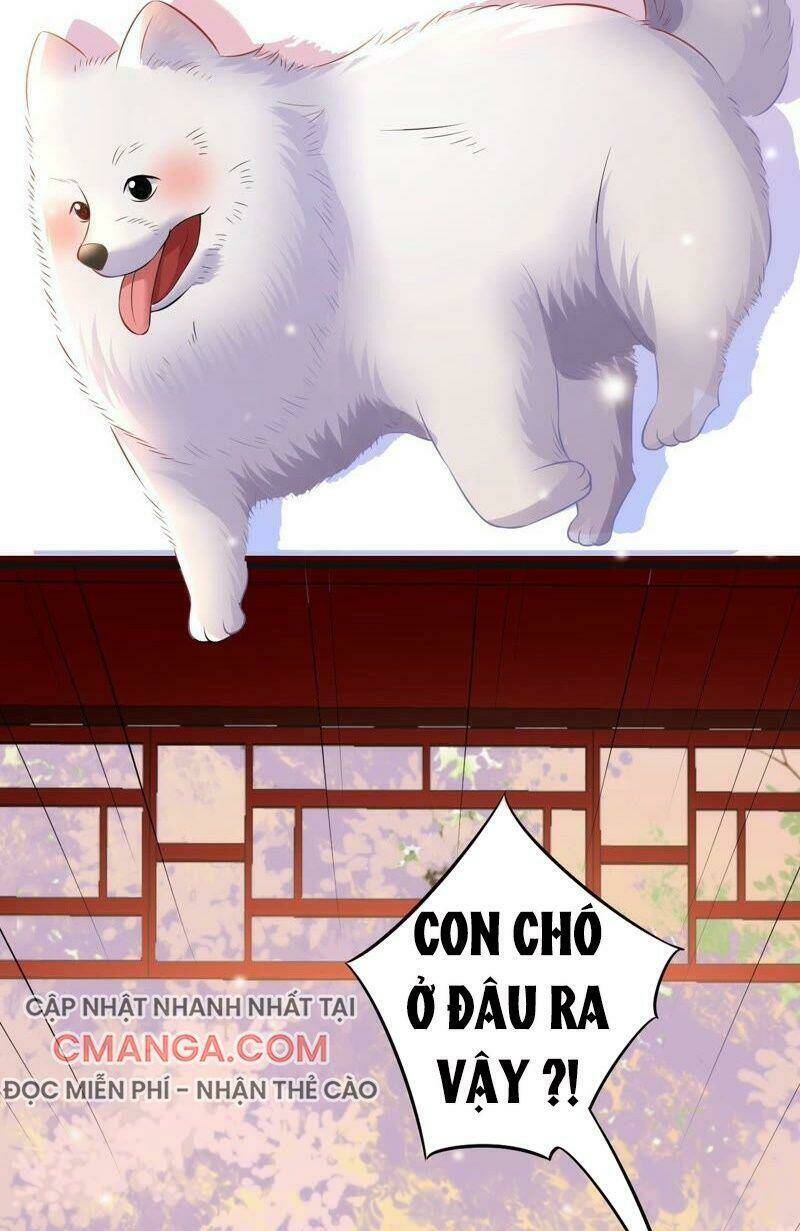 quận chúa vững vàng, thiết lập nhân vật không thể vỡ chapter 55 14