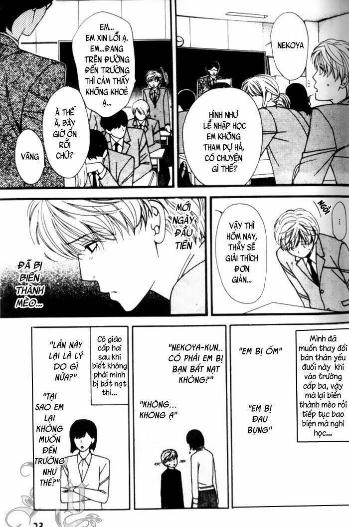 neko neko honey chapter 1 24