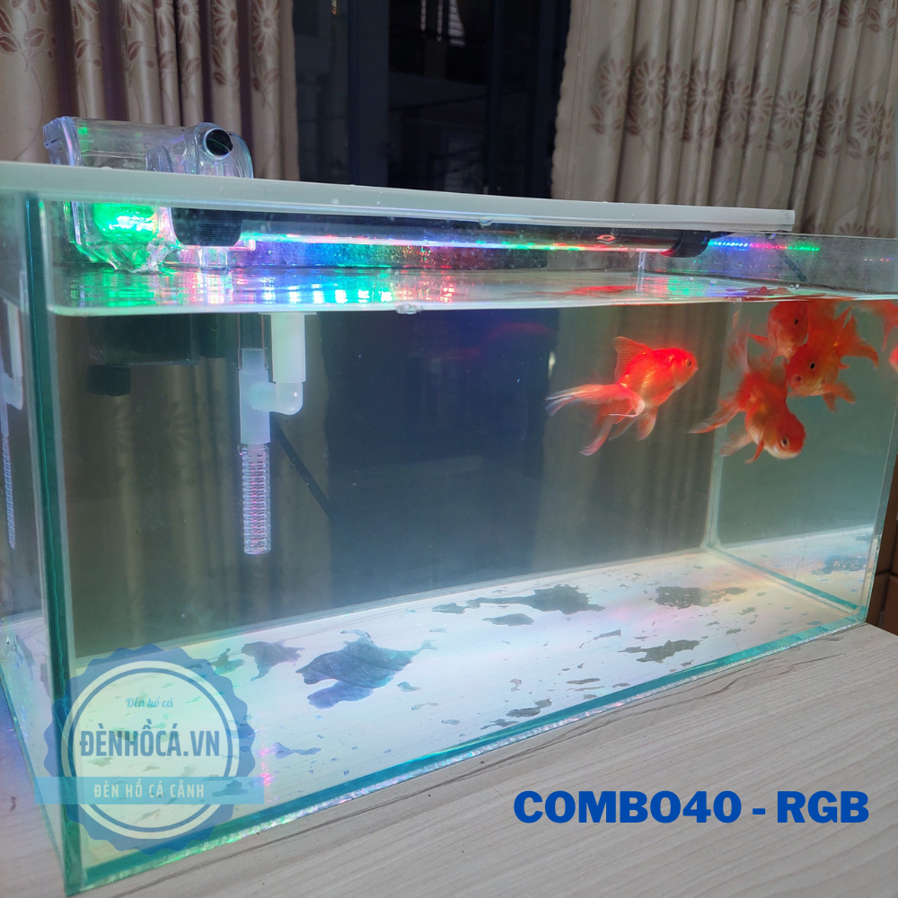 Bể cá mini 40cm COMBO C27 RGB