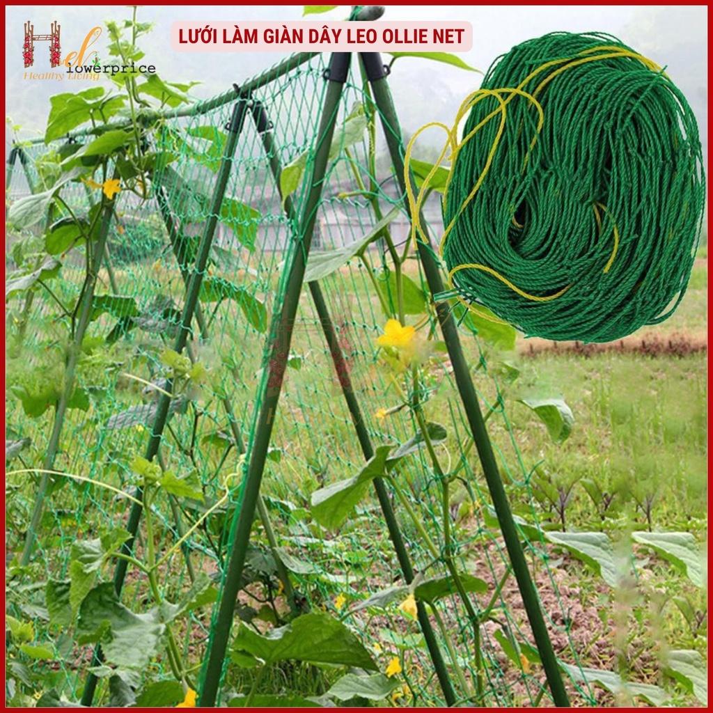 Lưới Làm Giàn Dây Leo Lưới Làm Giàn Dưa Leo, Hoa, Đậu Leo, Giàn Cây Bền Chắc