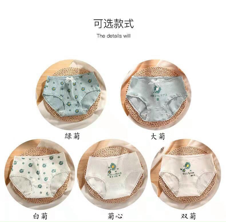 Combo 5 quần chip tăm cúc xanh siêu yêu