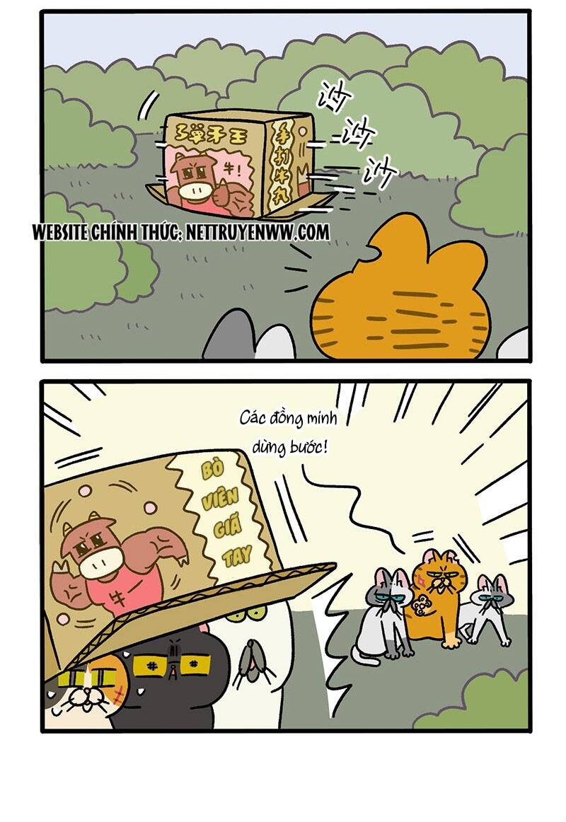 a mãn và mạch trà chapter 44.1 4