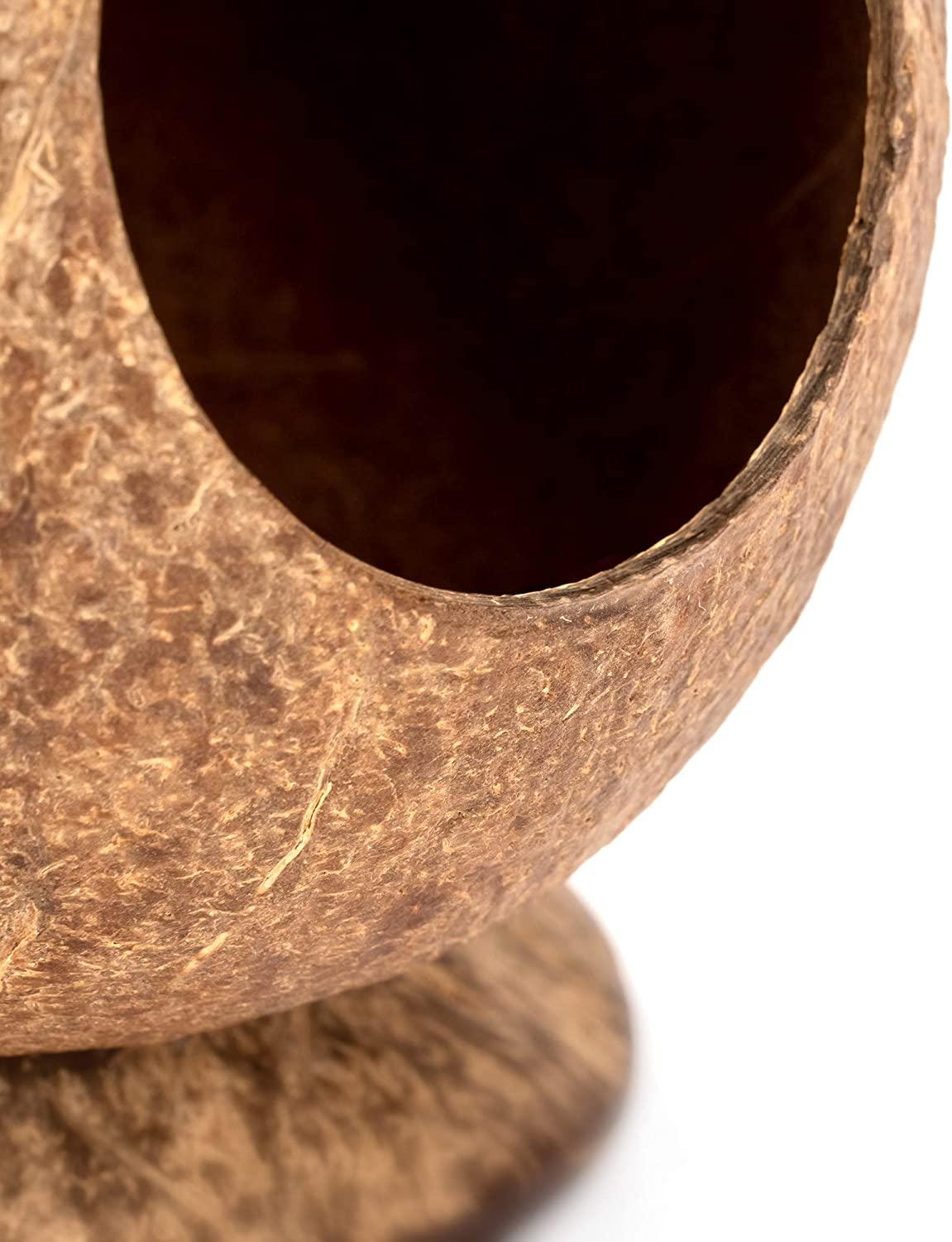 Dừa Hut Hamster House Giường để trang trí môi trường sống cho động vật nhỏ