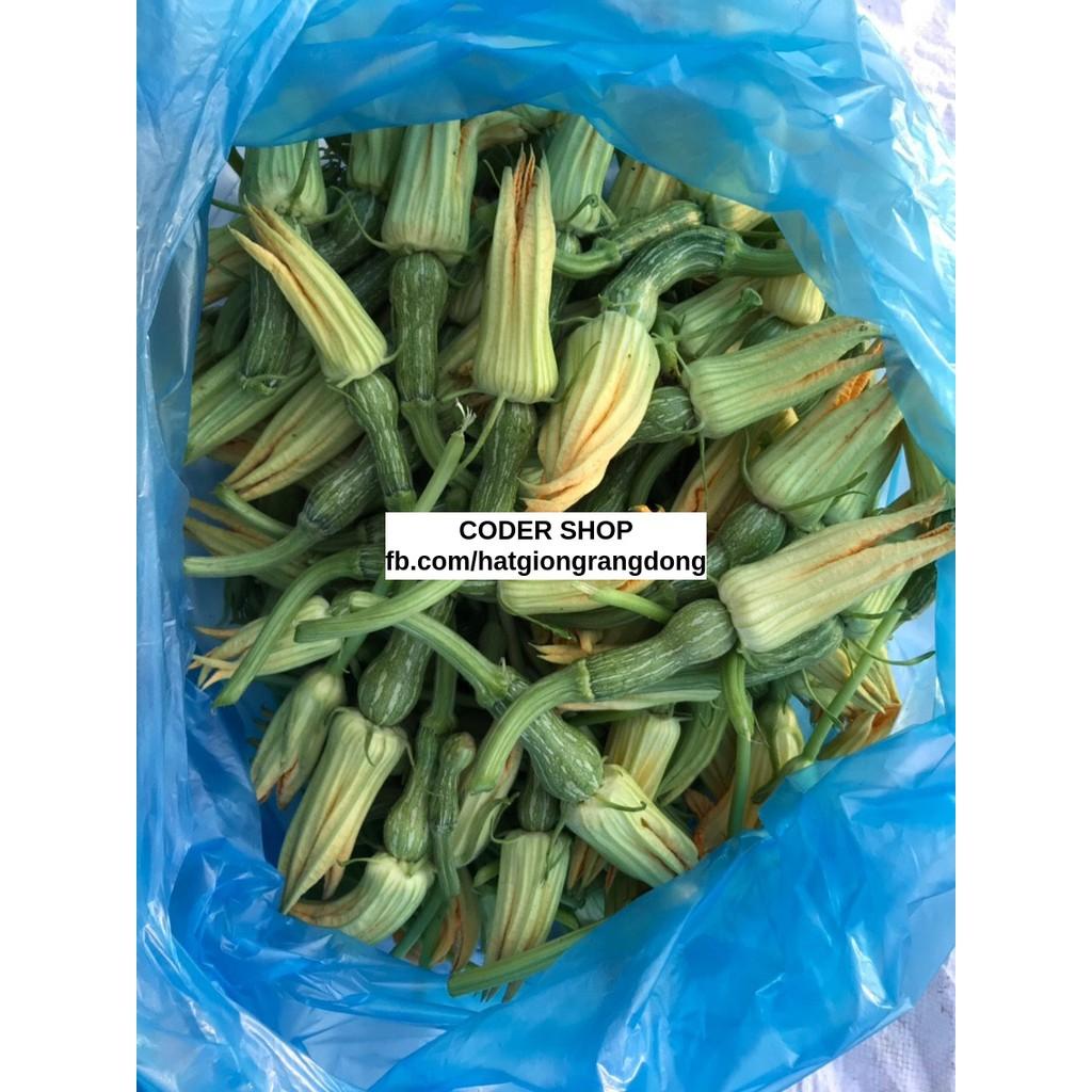 Hạt Giống Bí Nụ Rạng Đông 0.5Gram