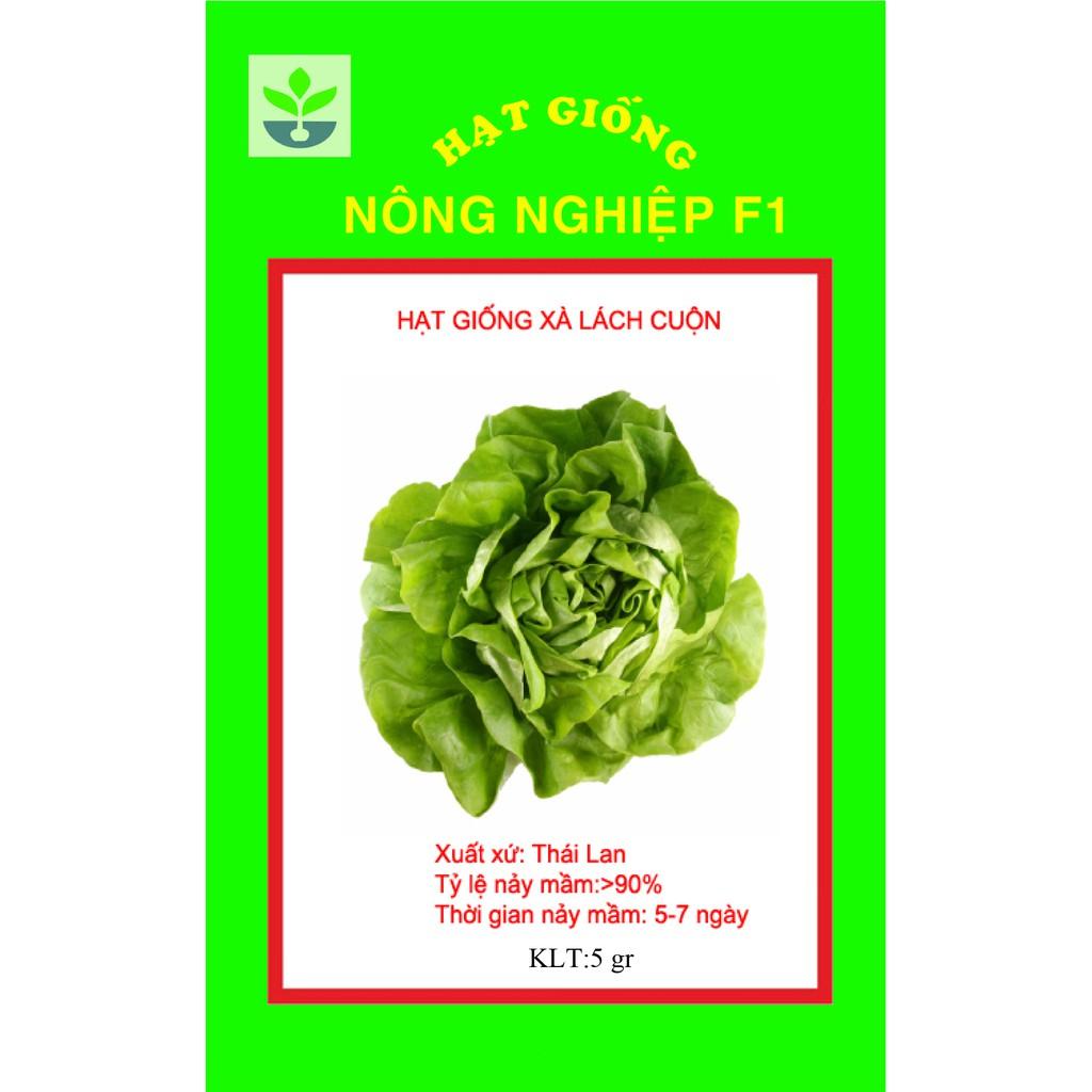 Gói 5 gr hạt giống xà lách cuộn