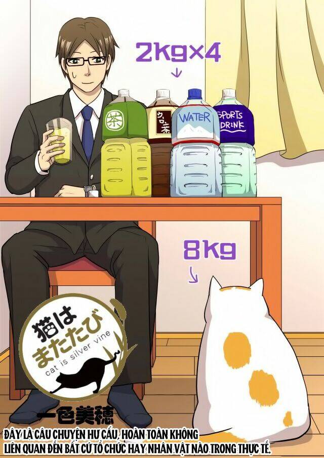 cat is silver vine chapter 3 1