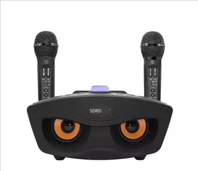 Giao Hàng Nhanh Cú SD306 Âm Thanh Gia Đình Micro Tất Cả Trong Một Bộ Đôi Điệp Khúc Điện Thoại Di Động K Bài Hát Micro Không Dây Bluetooth