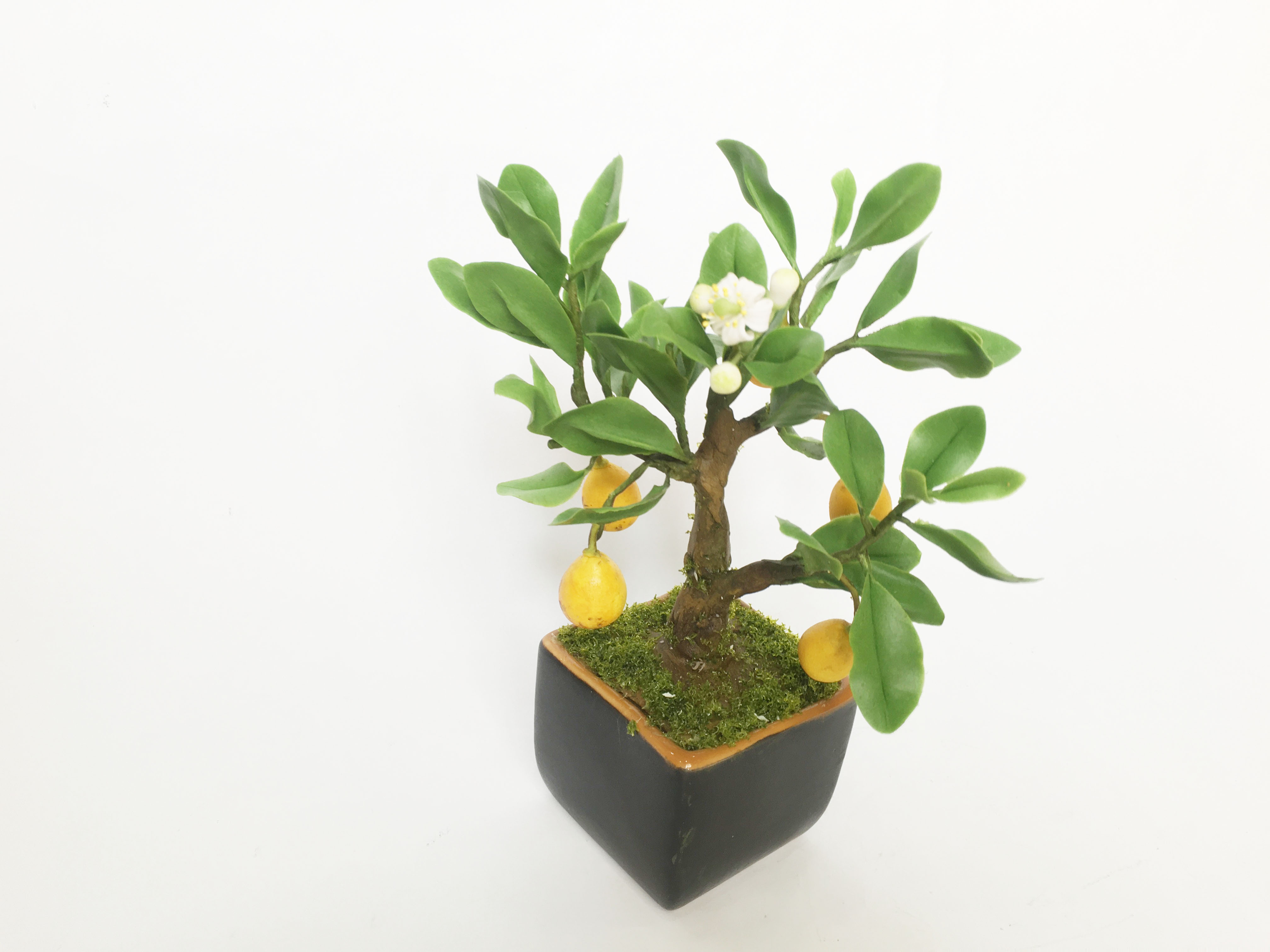 Chậu hoa đất sét mini- Bonsai bưởi - Quà tặng trang trí handmade